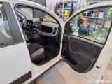 Fiat  Panda FIAT  / 2011 / 5P / BERLINA 1.0 FIREFLY 70CV SeS HYBRID CITY LIFE #108