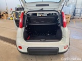  Fiat  Panda FIAT  / 2011 / 5P / BERLINA 1.0 FIREFLY 70CV SeS HYBRID CITY LIFE #131