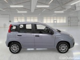  Fiat  Panda FIAT  / 2011 / 5P / BERLINA 1.2 69CV SeS E6D-TEMP EASY #7