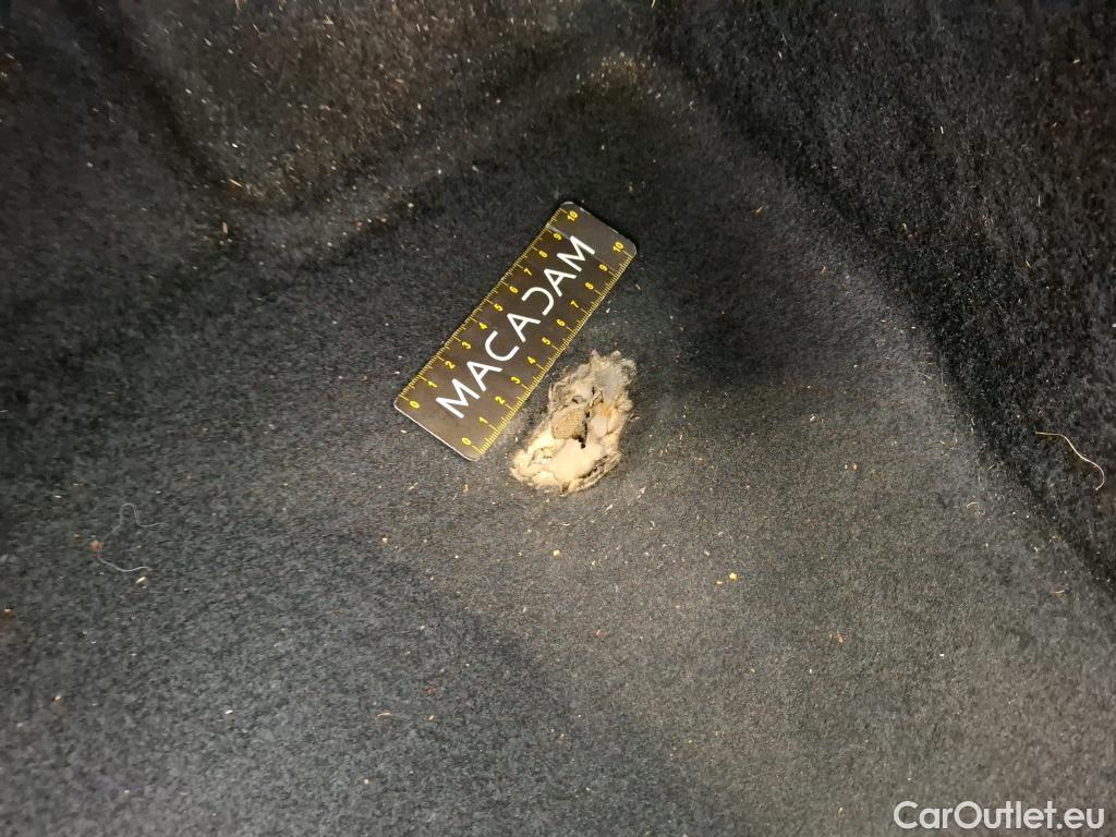  Skoda  Octavia  Berline Business 2.0 TDI 115CV BVM6 E6d #11