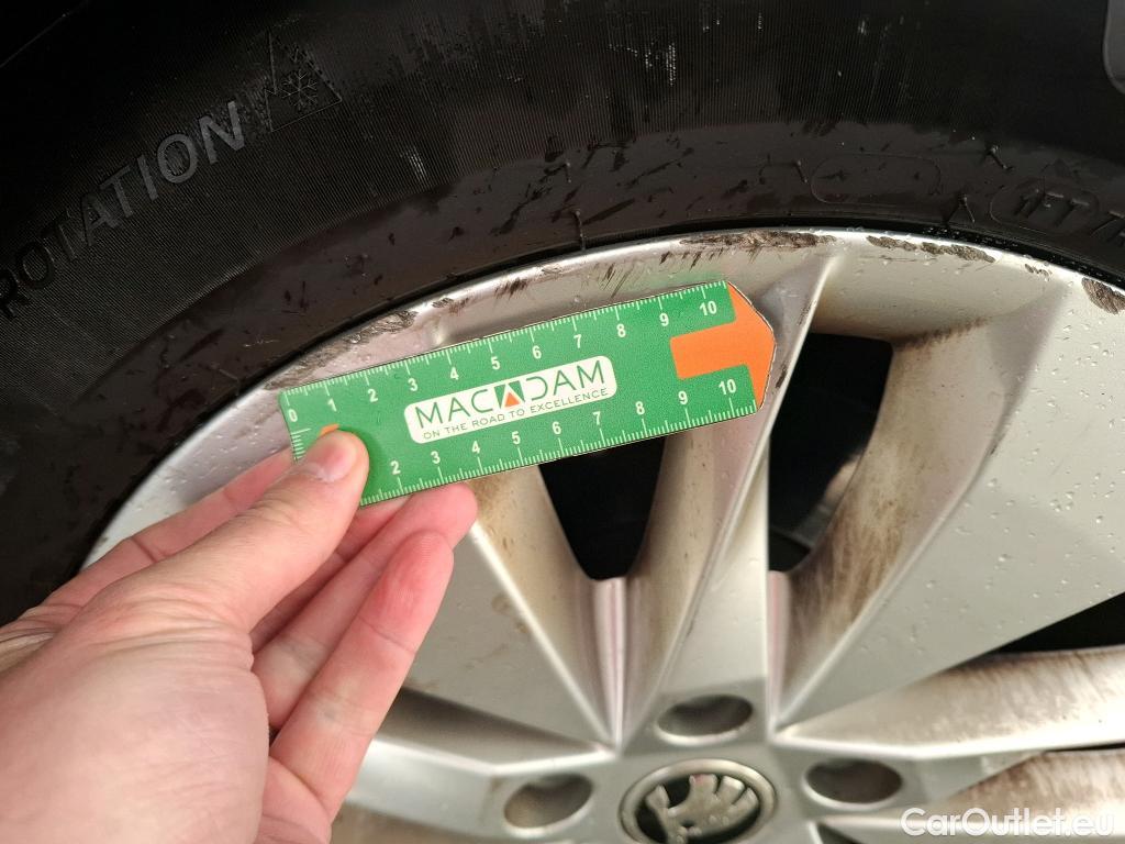  Skoda  Octavia  Break Business 2.0 TDI 115CV BVA7 E6d #15