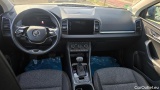  Skoda  Karoq  Clever 4x4 2.0 TDI 110KW AT7 E6d #3
