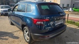  Skoda  Karoq  Clever 4x4 2.0 TDI 110KW AT7 E6d #8