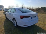  Skoda  Octavia  Berline Business 2.0 TDI 115CV BVM6 E6d #2