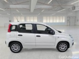  Fiat  Panda FIAT  / 2011 / 5P / BERLINA 1.0 70CV SeS HYBRID #7