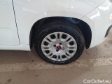  Fiat  Panda FIAT  / 2011 / 5P / BERLINA 1.2 69CV SeS E6D-TEMP EASY #17
