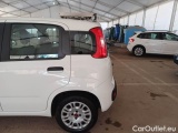  Fiat  Panda FIAT  / 2011 / 5P / BERLINA 1.2 69CV SeS E6D-TEMP EASY #50