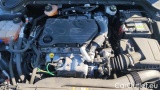  Ford  Focus 1.5 Ecoblue 120cv Bus Co-Pilot Auto SW #15