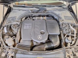  Mercedes  C-Klasse C T-Modell C 300 T d (206.206)AMG 2.0 AMG Line 210KW AT9 E6d #13