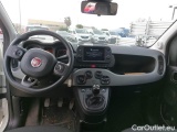  Fiat  Panda FIAT  / 2011 / 5P / BERLINA 0.9 TWINAIR TURBO 85CV WILD 4X4 #3