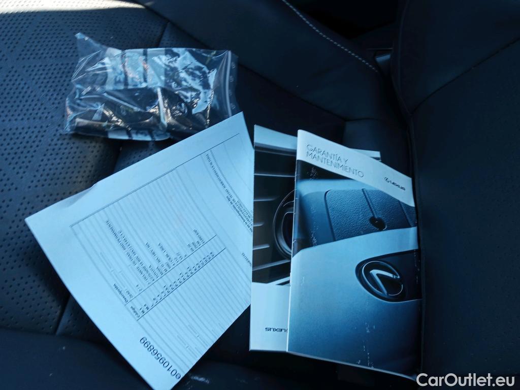  Lexus  UX LEXUS  / 2018 / 5P / todoterreno 2.0 250h Lury 4WD #14