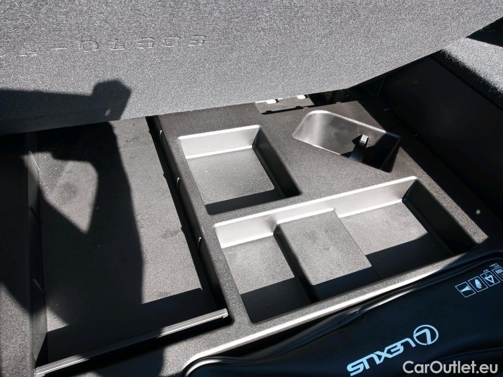  Lexus  UX LEXUS  / 2018 / 5P / todoterreno 2.0 250h Lury 4WD #9