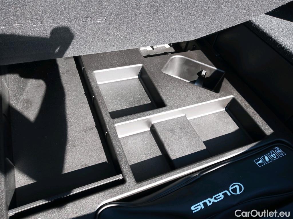  Lexus  UX LEXUS  / 2018 / 5P / todoterreno 2.0 250h Lury 4WD #10