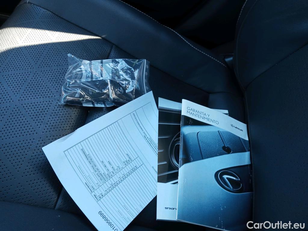  Lexus  UX LEXUS  / 2018 / 5P / todoterreno 2.0 250h Lury 4WD #13