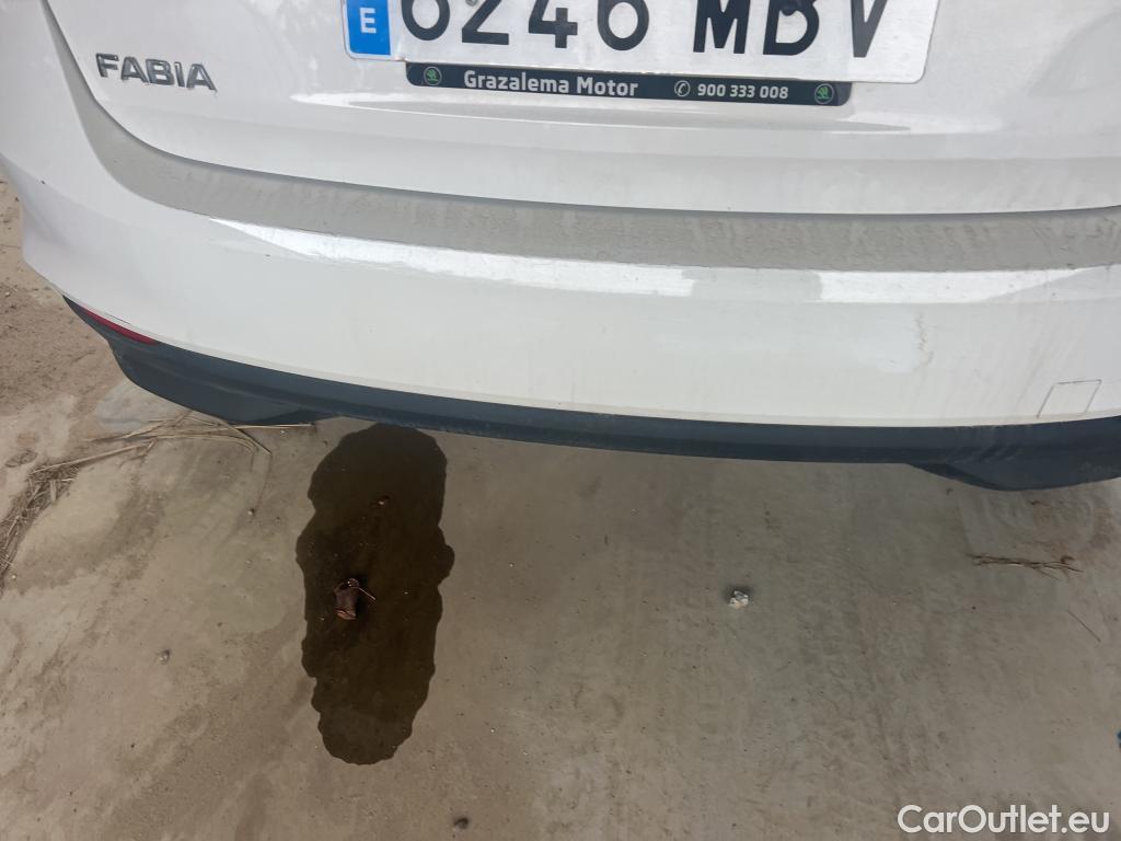  Skoda  Fabia  Emotion 1.0 TSI 95CV MT5 E6d #29