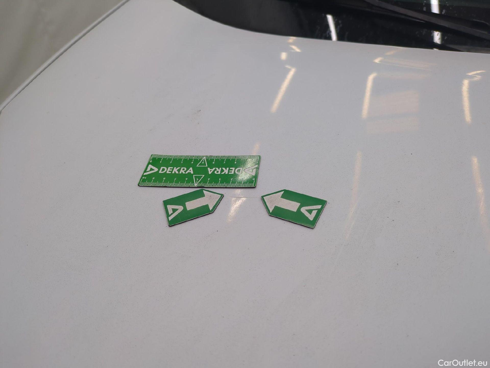  Renault  Kangoo  Express Maxi Extra (Série Spéciale) - Cab. Appr. 1.5 dCi 110CV BVM6 E6 #31