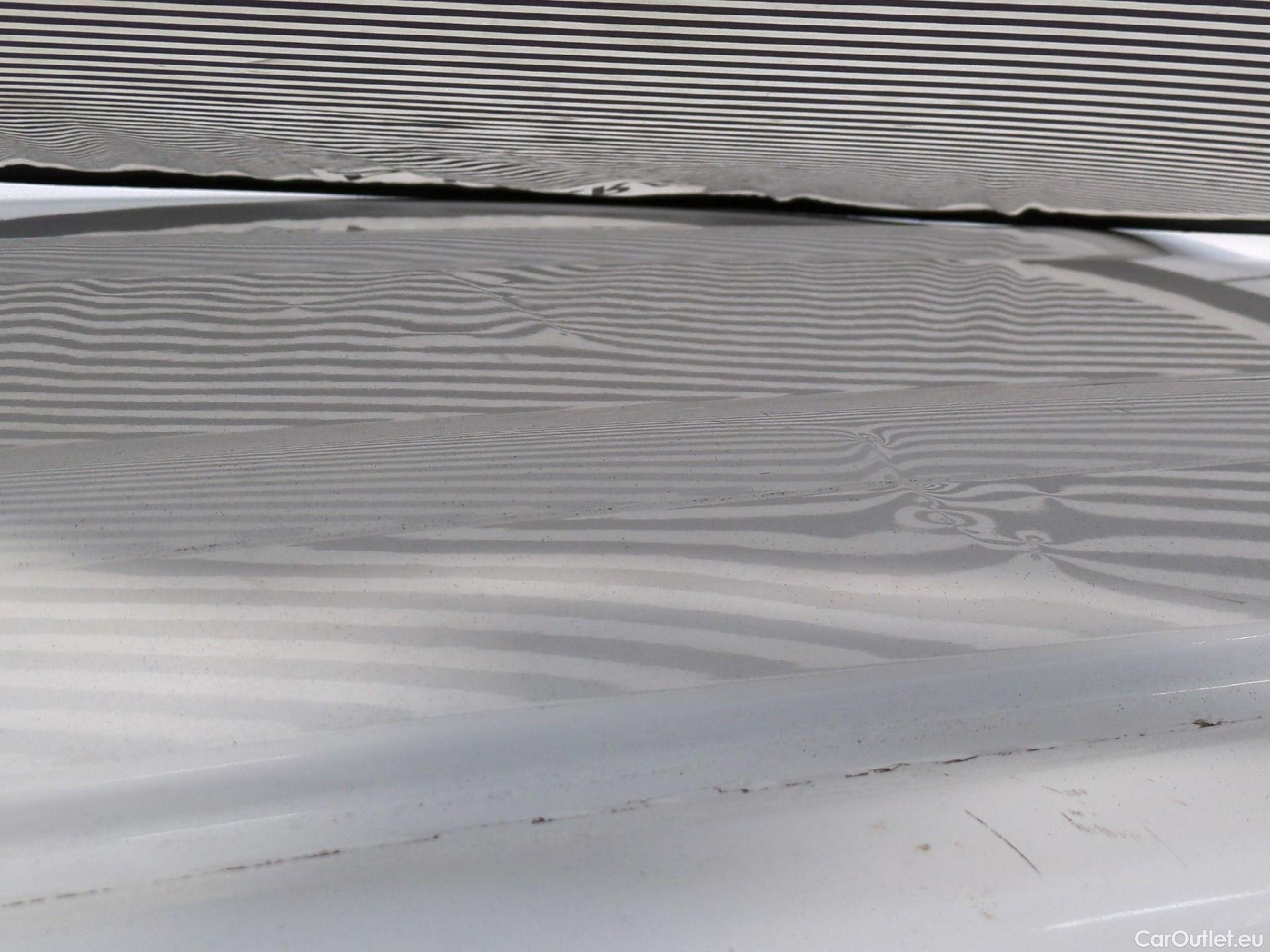  Renault  Kangoo  Express Maxi Extra (Série Spéciale) 1.5 dCi 90CV BVM5 E6 #42