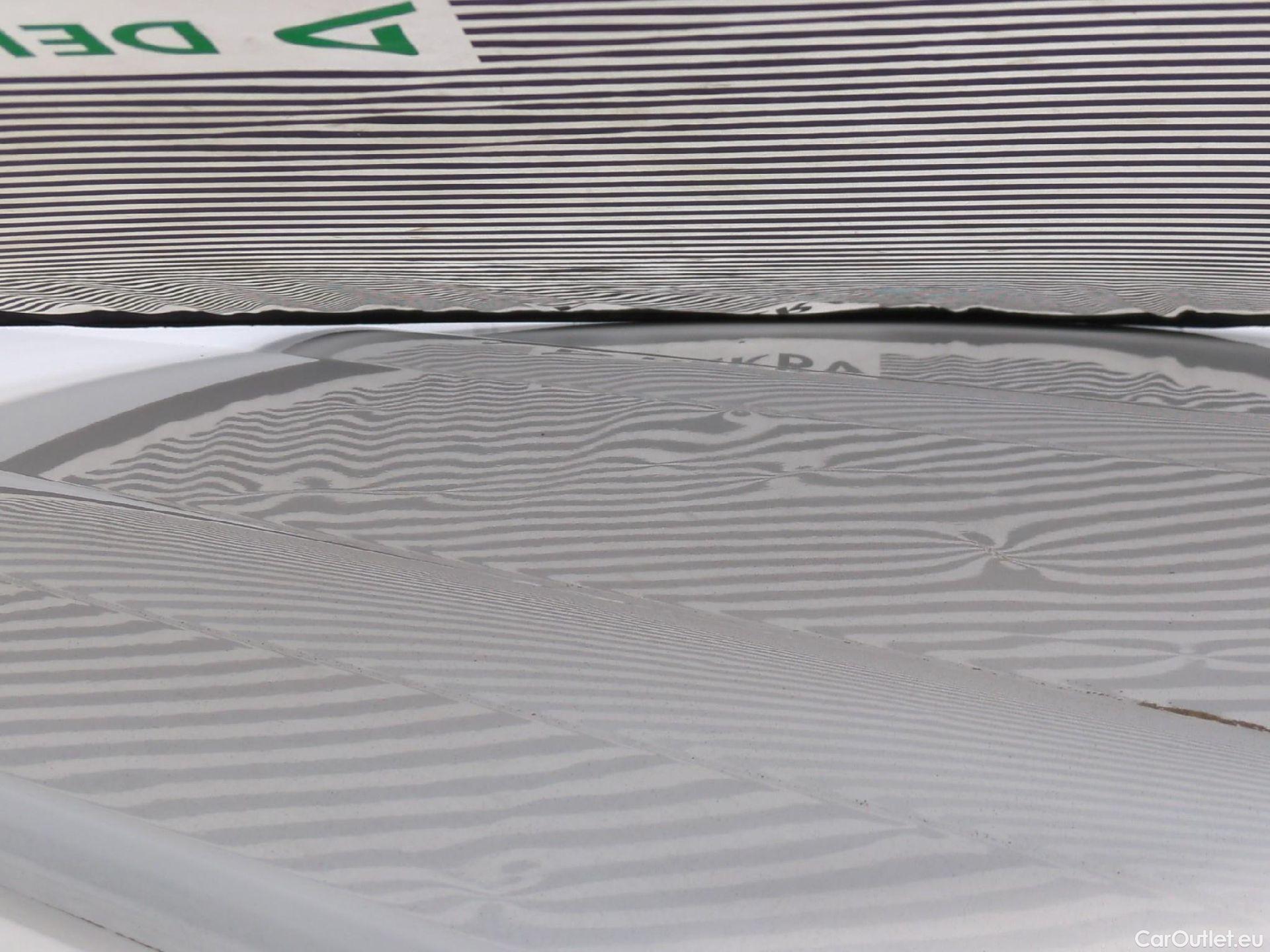  Renault  Kangoo  Express Maxi Extra (Série Spéciale) 1.5 dCi 90CV BVM5 E6 #46