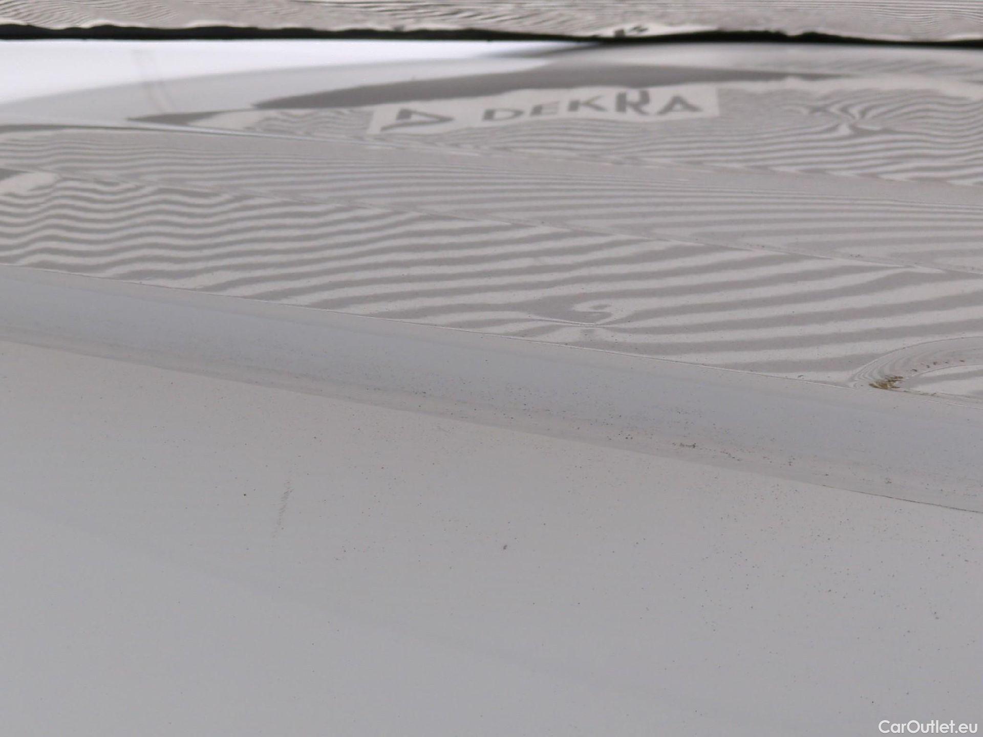  Renault  Kangoo  Express Maxi Extra (Série Spéciale) 1.5 dCi 90CV BVM5 E6 #47