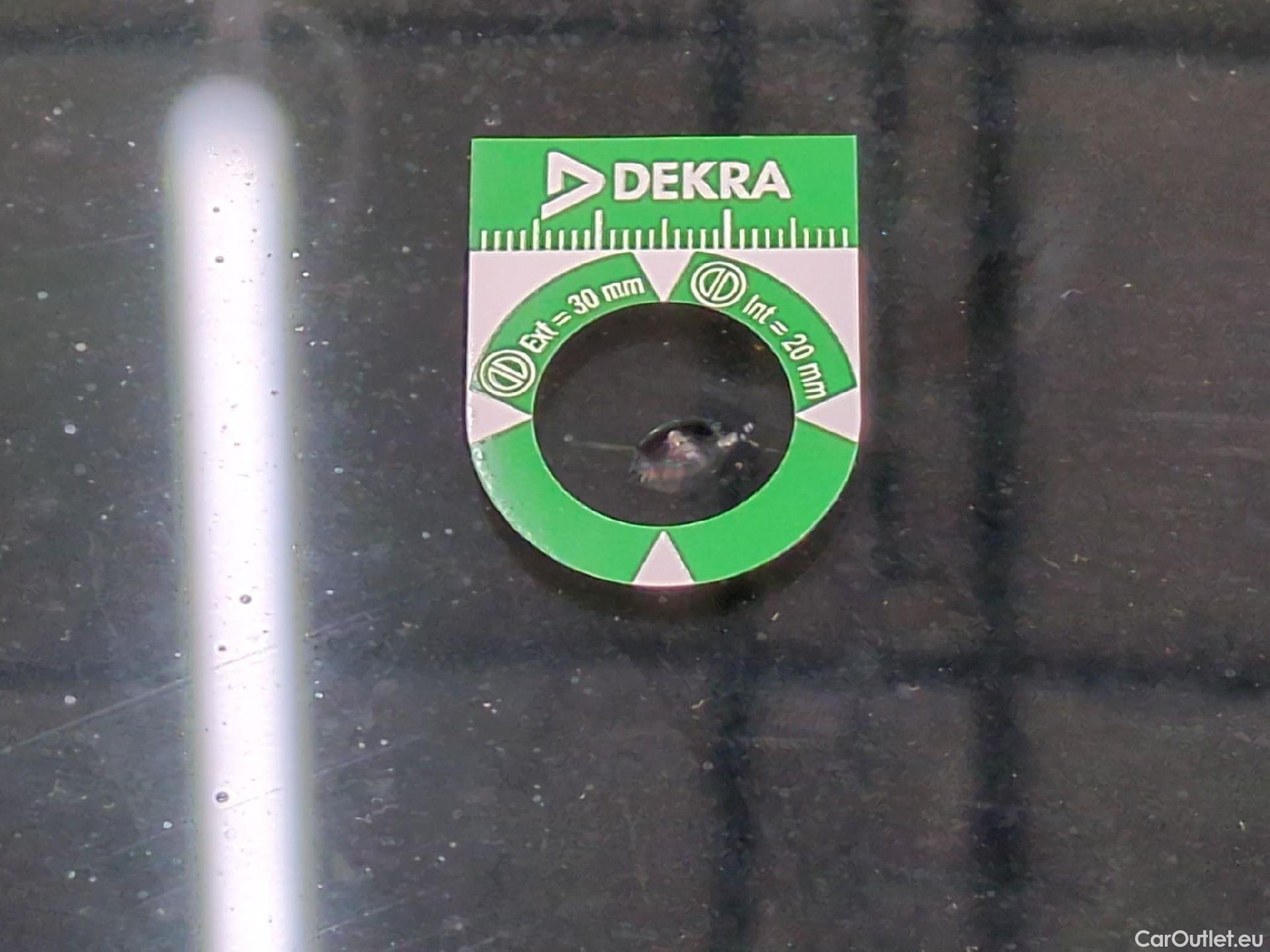  Renault  Kangoo  Express Maxi Extra (Série Spéciale) 1.5 dCi 90CV BVM5 E6 #15