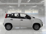 Fiat  Panda FIAT  / 2011 / 5P / BERLINA 1.2 69CV SeS E6D-TEMP EASY #7