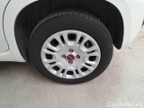  Fiat  Panda FIAT  / 2011 / 5P / BERLINA 1.2 69CV SeS E6D-TEMP EASY #18