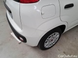  Fiat  Panda FIAT  / 2011 / 5P / BERLINA 1.2 69CV SeS E6D-TEMP EASY #44