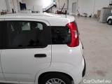  Fiat  Panda FIAT  / 2011 / 5P / BERLINA 1.2 69CV SeS E6D-TEMP EASY #52