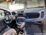  Fiat  Panda FIAT  / 2012 / 5P / BERLINA 1.2 69 CV VAN 2 POSTI EURO6 POP #3