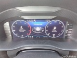  Skoda  Kodiaq  L&K 2.0 TDI 110KW AT7 E6d #6