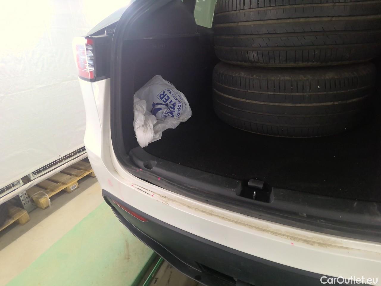  Tesla  Model Y  Long-Range AWD #21