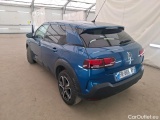 C4 Cactus