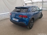 C4 Cactus