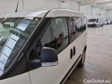  Fiat  Doblo FIAT DOBLÒ CARGO / 2014 / 5P / COMBI CH1 LOUNGE 1.6 MJET 105CV E6D N1 #24