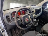  Fiat  Panda FIAT  / 2012 / 5P / BERLINA 1.2 69 CV VAN 2 POSTI EURO6 POP #3