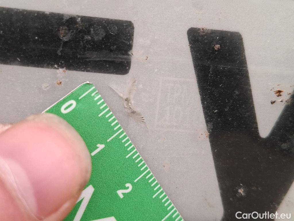  Ford  Focus  Turnier Titanium X 1.5 EcoBlue 120CV BVM6 E6d #21