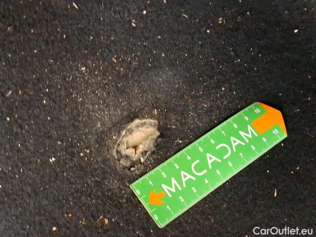  Skoda  Octavia  Break Business 2.0 TDI 150CV BVA7 E6d #22