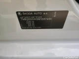  Skoda  KAMIQ SKODA  1.0 TSI 81kW (110CV) DSG Ambition #17
