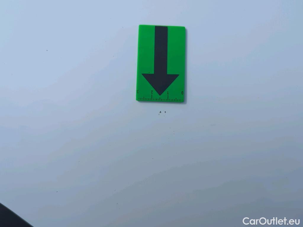  Renault  Master 2.3 Blue dCi 135CP Tractiune L3 #28