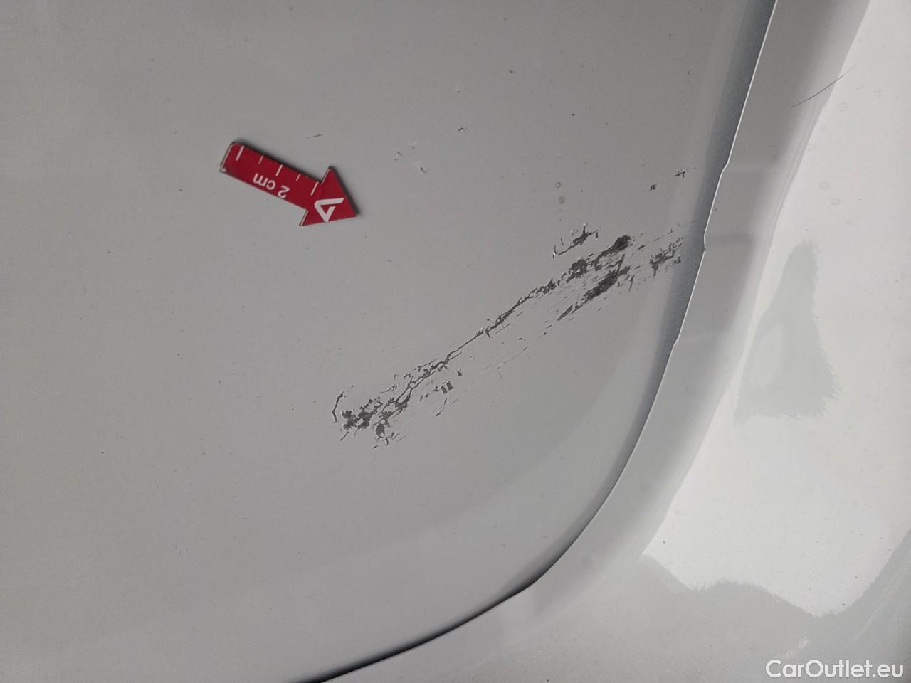  Renault  Kangoo 1.5 Blue dCi 95HP Maxi Confort #71