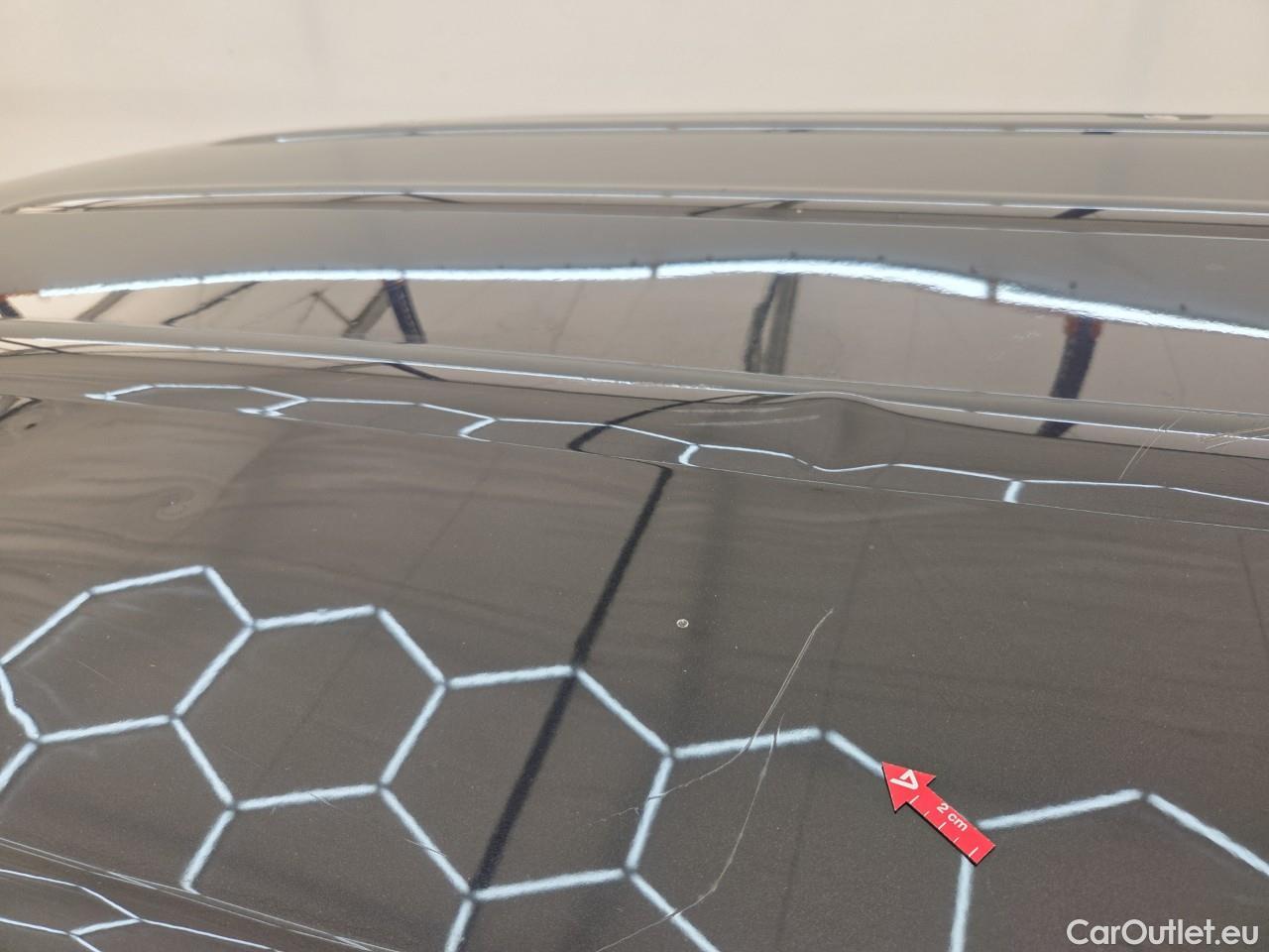  Renault  Kangoo 1.5 Blue dCi 95HP Maxi Confort #52