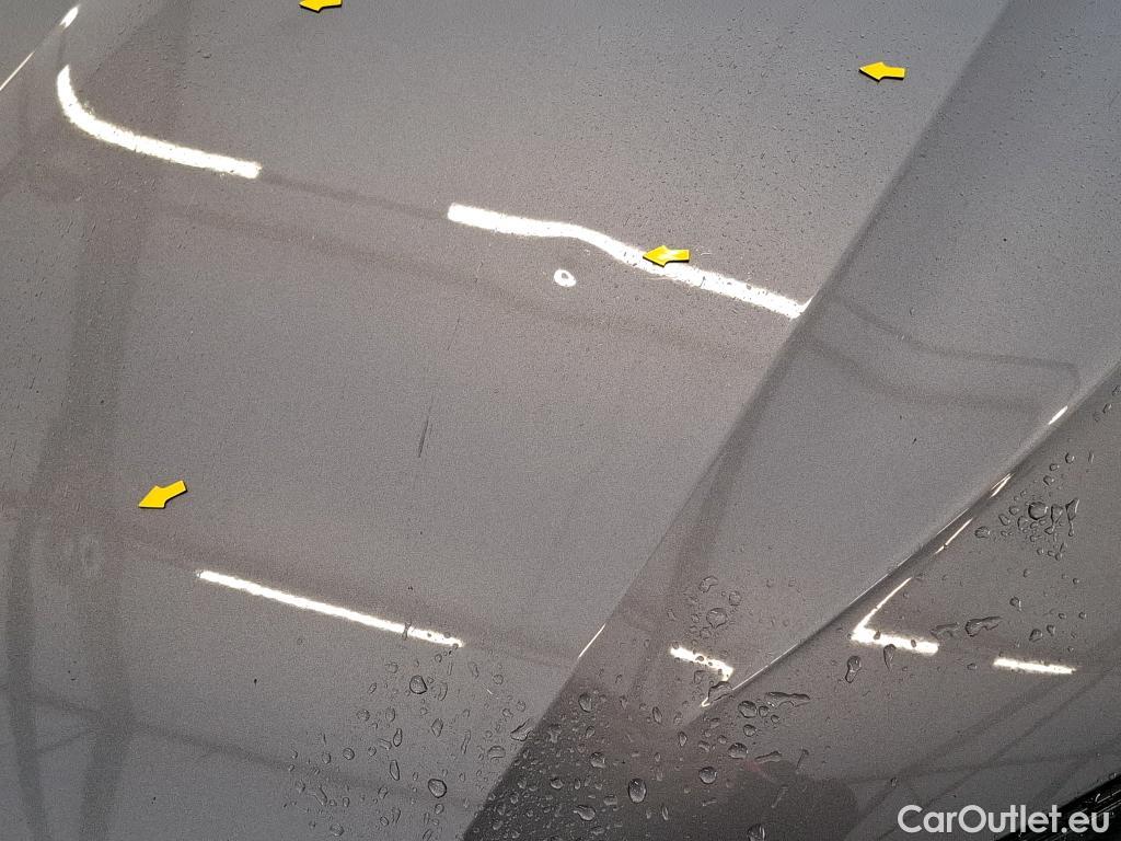  Skoda  Octavia  Break Business 2.0 TDI 115CV BVM6 E6d #14