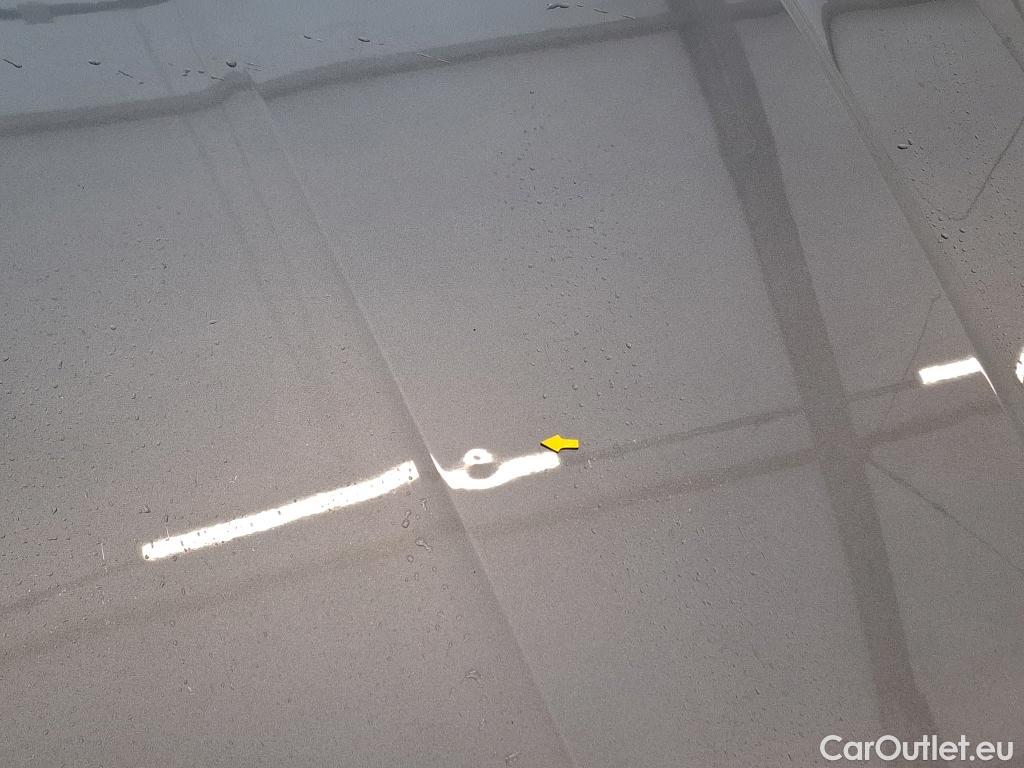  Skoda  Octavia  Break Business 2.0 TDI 115CV BVM6 E6d #18