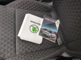  Skoda  Superb  Break Business 2.0 TDI 150CV BVA7 E6d #8