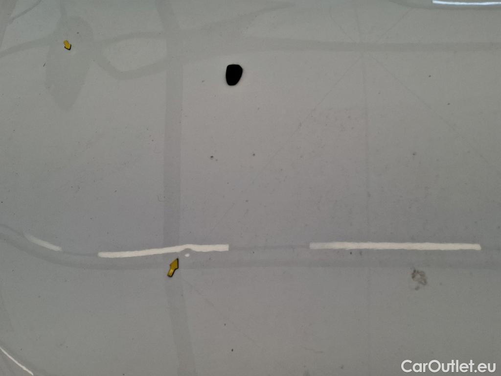  Citroen  C3  Shine Business 1.2 PureTech 110CV BVM6 E6d #6