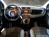  Fiat  Panda FIAT  / 2011 / 5P / BERLINA 1.2 69CV SeS E6D-TEMP EASY #4