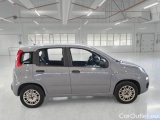  Fiat  Panda FIAT  / 2011 / 5P / BERLINA 1.2 69CV SeS E6D-TEMP EASY #7