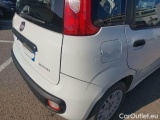  Fiat  Panda FIAT  / 2011 / 5P / BERLINA 1.0 70CV SeS HYBRID #35