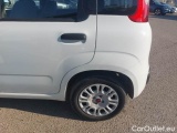  Fiat  Panda FIAT  / 2011 / 5P / BERLINA 1.0 70CV SeS HYBRID #41