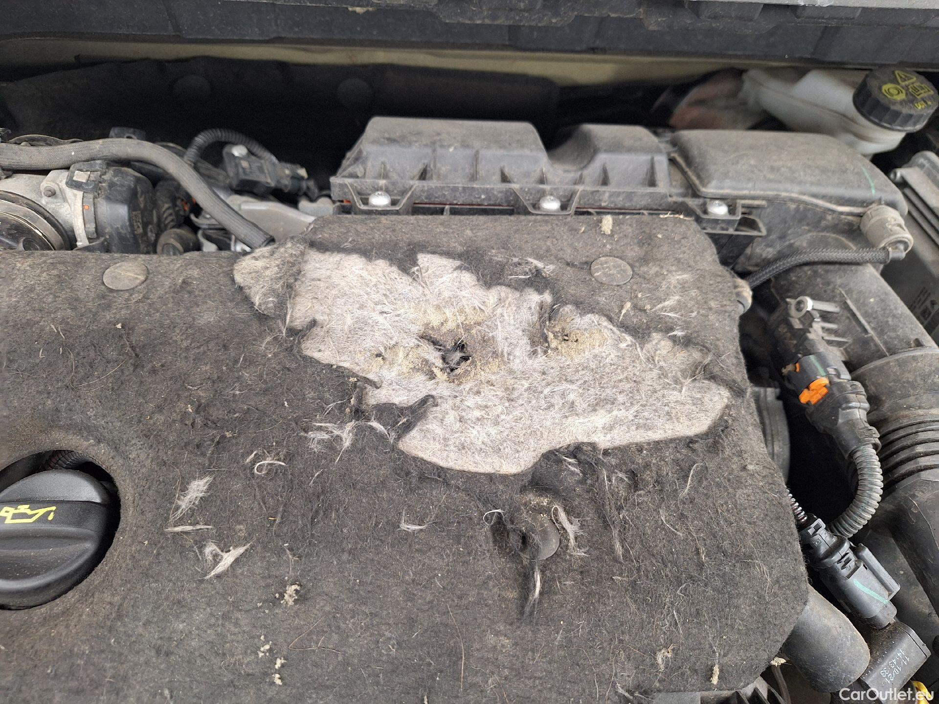  Peugeot  3008 Peugeot,  FL'20, Peugeot  1.5 BlueHDi 96kW S&S EAT8 GT Pack 5d #44